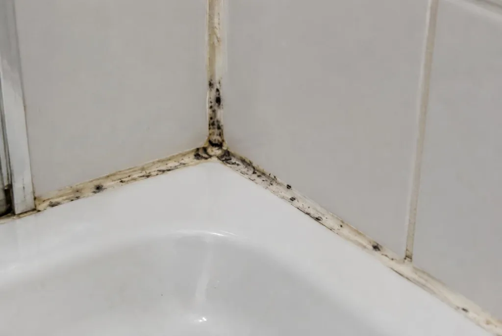 Kitbedrijf Drunen – beschimmelde kitranden